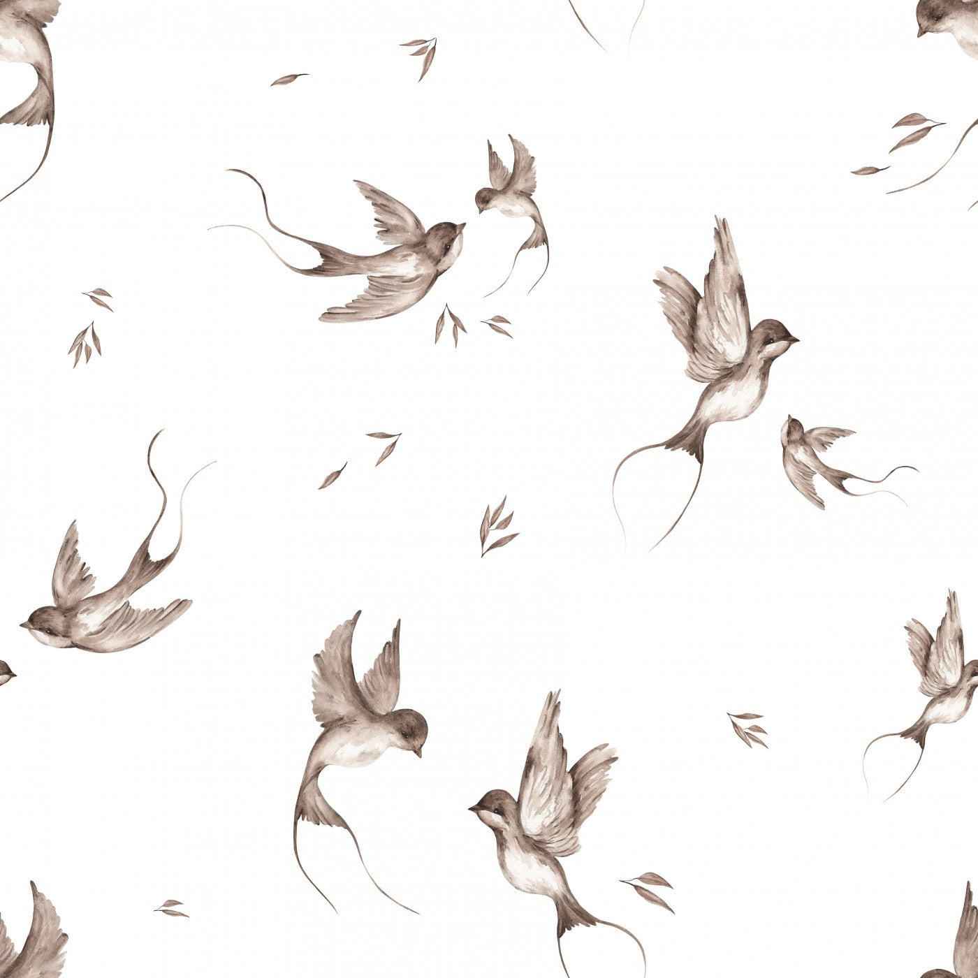 Wild Wonders
